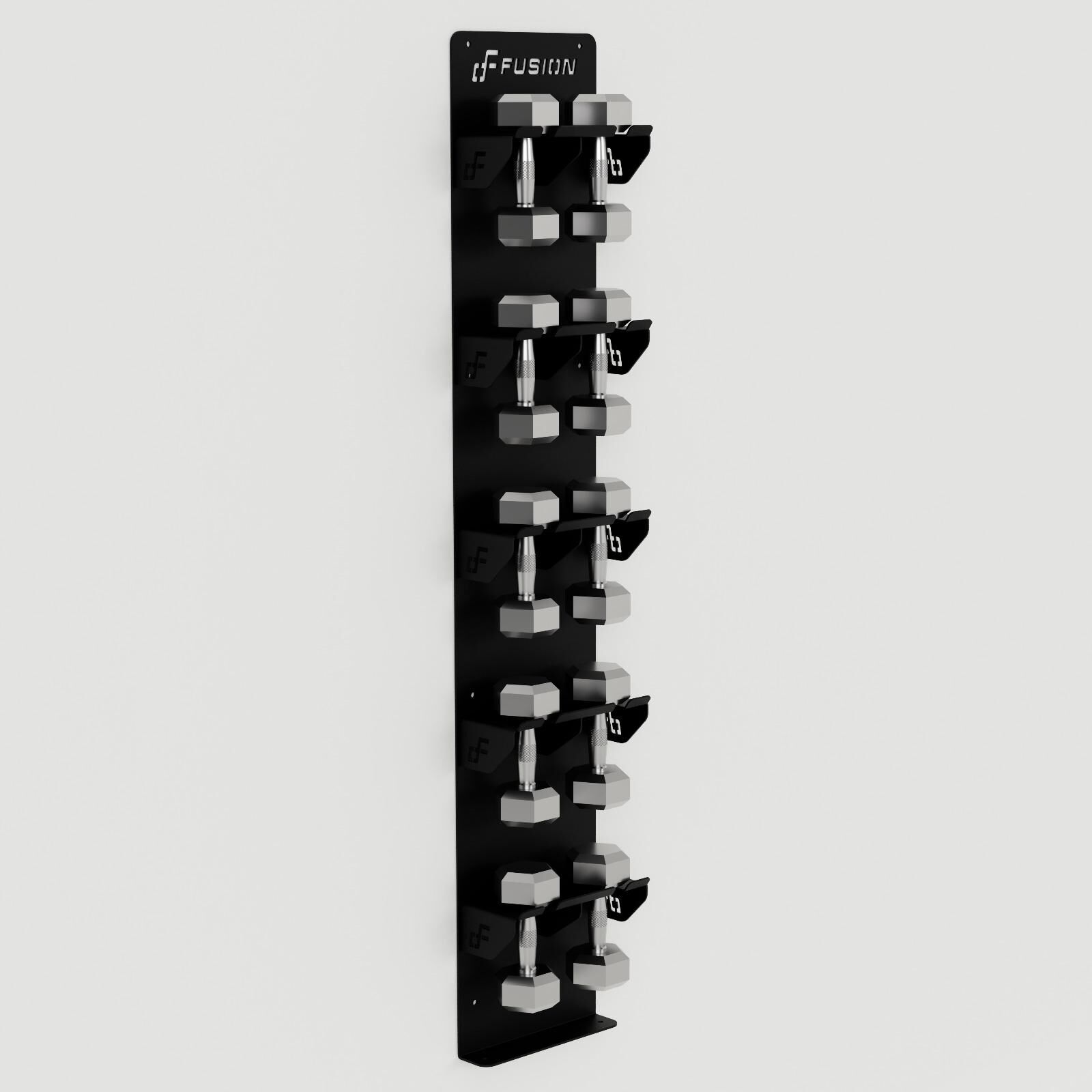 Fusion Duvara Monte Dambıl / Dumbbell Panosu