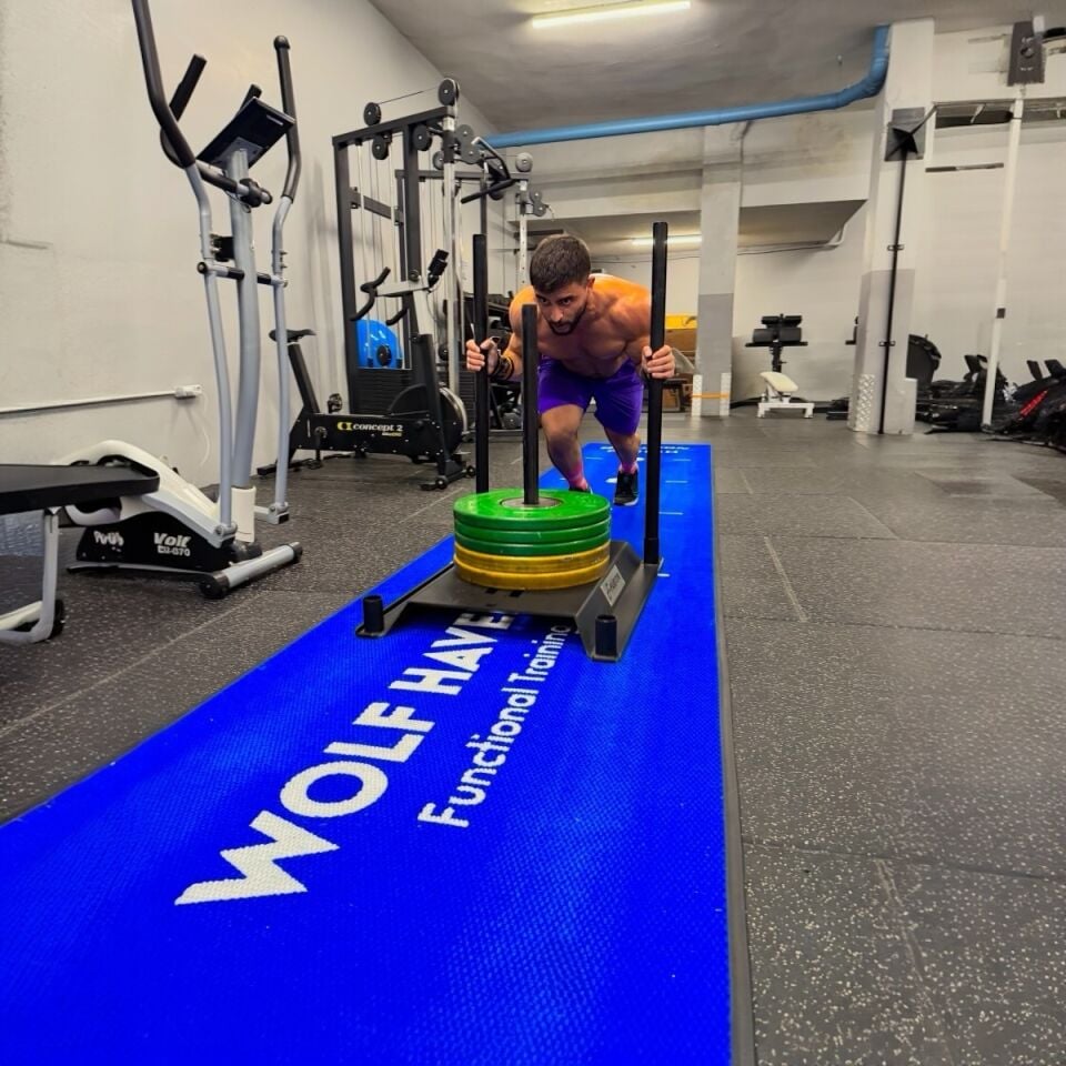 Fusion Sled (Kızak) Halısı